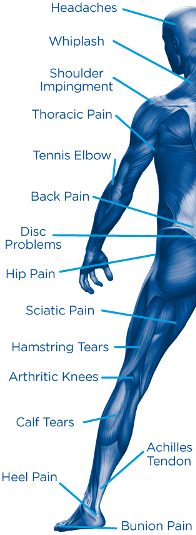 Anatomy of injuries